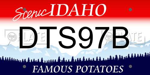 DTS97B Idaho License Plate