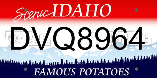 DVQ8964 Idaho License Plate
