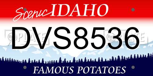 DVS8536 Idaho License Plate