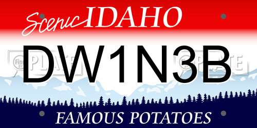 DW1N3B Idaho License Plate