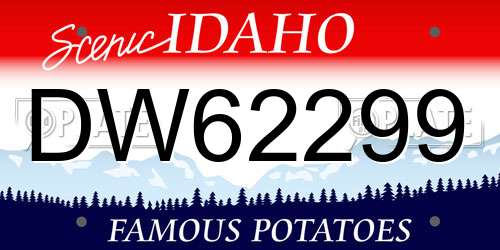 DW62299 Idaho License Plate