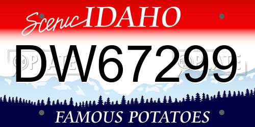 DW67299 Idaho License Plate