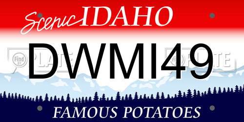 DWMI49 Idaho License Plate