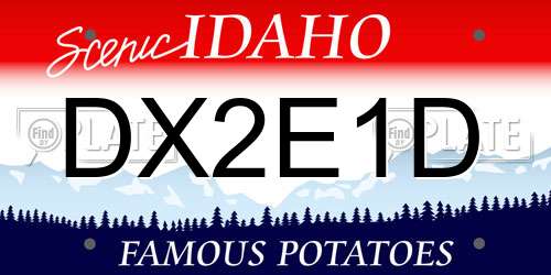 DX2E1D Idaho License Plate