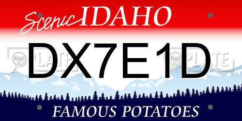 DX7E1D Idaho License Plate