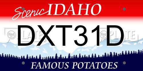 DXT31D Idaho License Plate