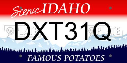 DXT31Q Idaho License Plate