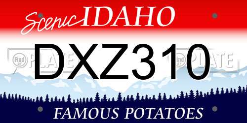DXZ310 Idaho License Plate