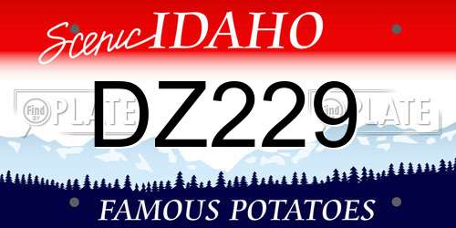 DZ229 Idaho License Plate