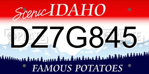 DZ7G845 Idaho License Plate