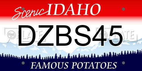 DZBS45 Idaho License Plate