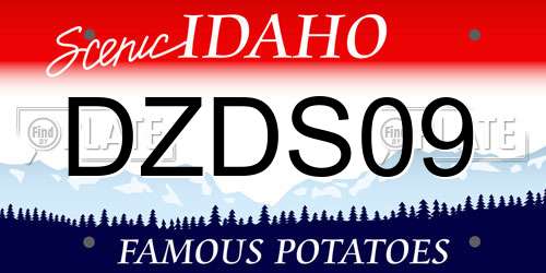 DZDS09 Idaho License Plate