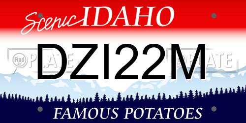 DZI22M Idaho License Plate
