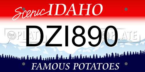 DZI890 Idaho License Plate