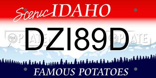 DZI89D Idaho License Plate