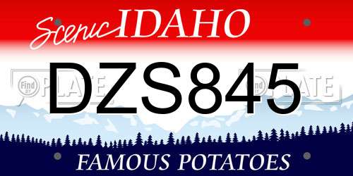 DZS845 Idaho License Plate