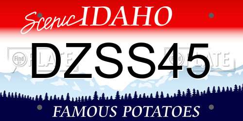 DZSS45 Idaho License Plate