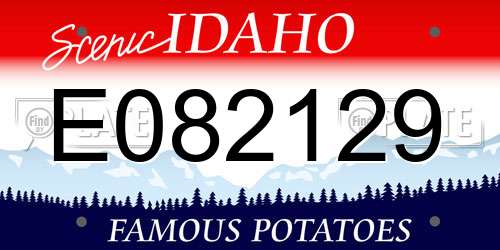 E082129 Idaho License Plate