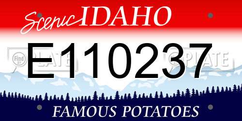 E110237 Idaho License Plate