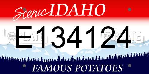 E134124 Idaho License Plate