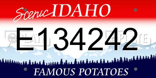 E134242 Idaho License Plate