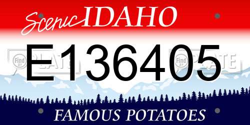 E136405 Idaho License Plate