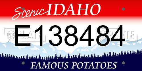 E138484 Idaho License Plate