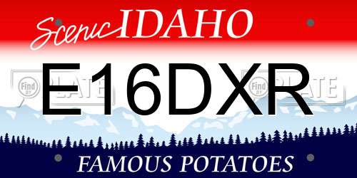E16DXR Idaho License Plate