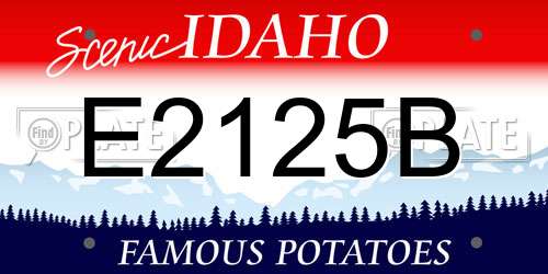 E2125B Idaho License Plate