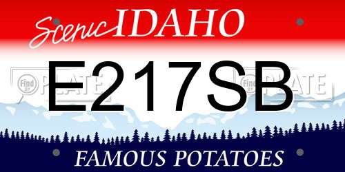 E217SB Idaho License Plate