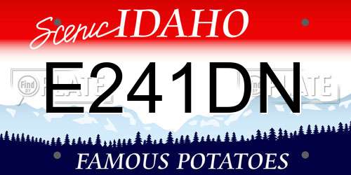 E241DN Idaho License Plate