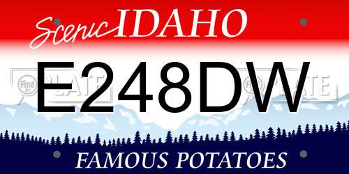 E248DW Idaho License Plate