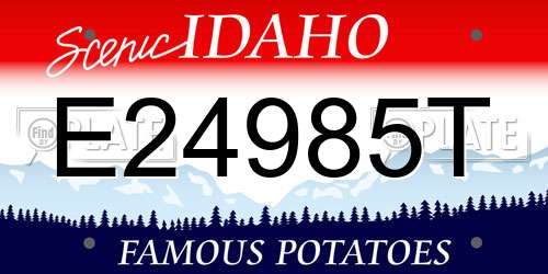 E24985T Idaho License Plate