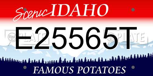 E25565T Idaho License Plate