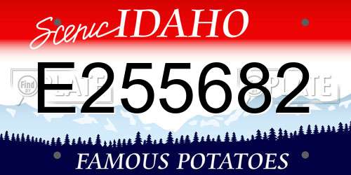 E255682 Idaho License Plate