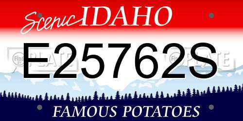 E25762S Idaho License Plate