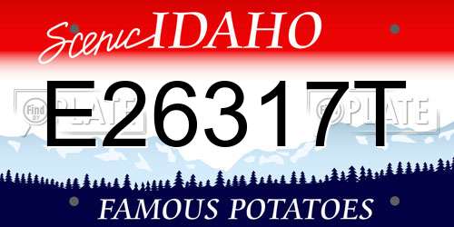 E26317T Idaho License Plate