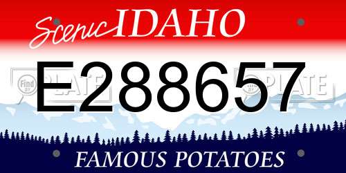 E288657 Idaho License Plate