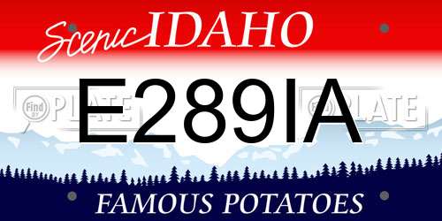 E289IA Idaho License Plate