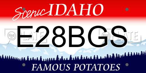 E28BGS Idaho License Plate