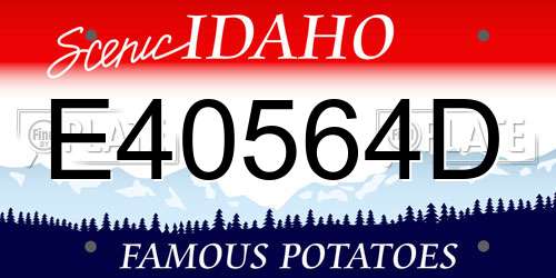 E40564D Idaho License Plate