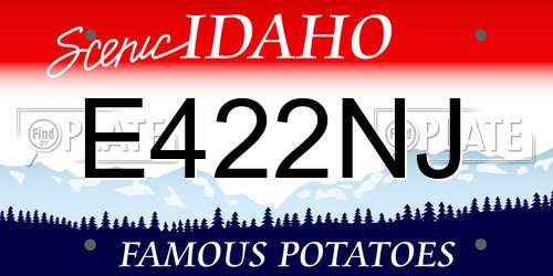 E422NJ Idaho License Plate