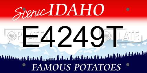 E4249T Idaho License Plate