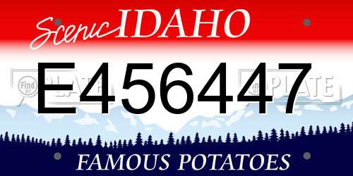E456447 Idaho License Plate