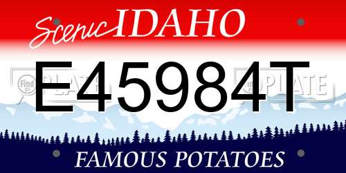 E45984T Idaho License Plate