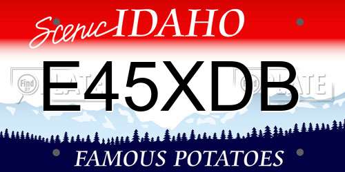 E45XDB Idaho License Plate