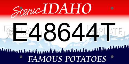 E48644T Idaho License Plate