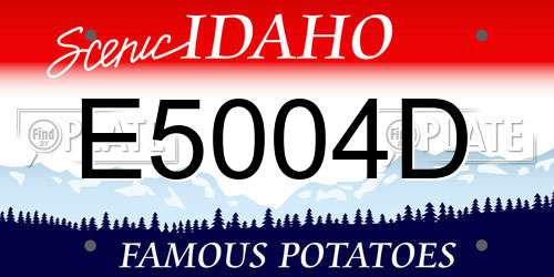 E5004D Idaho License Plate