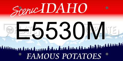 E5530M Idaho License Plate