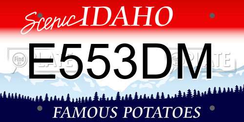 E553DM Idaho License Plate